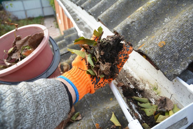 Gutter Cleaning And Maintenance